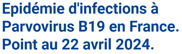 parvovirus-b19-point-au-22-avril-2024